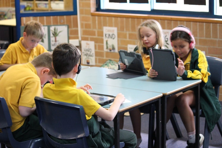 Students learning in the classroom