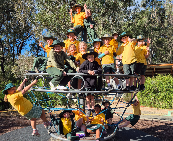 Students on play equipment at Botanic Gardens excursion